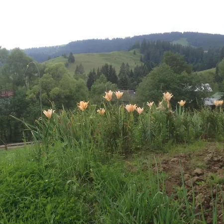 Apartment карпатська перлина