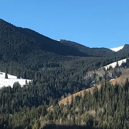 アパート карпатська перлина Iltsi