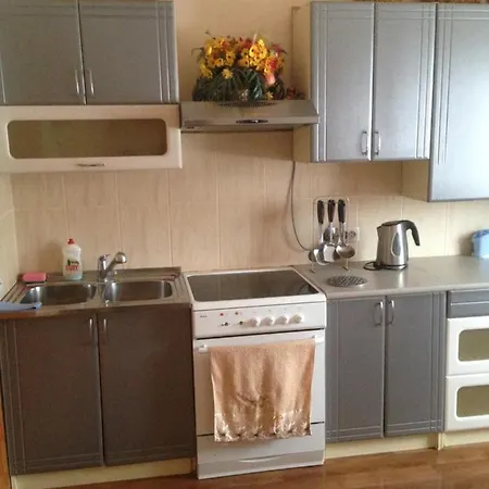 карпатська перлина アパート