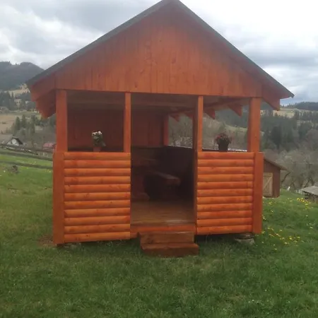 карпатська перлина Apartment Iltsi